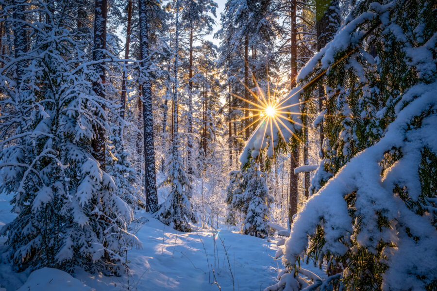 Salpausselkä