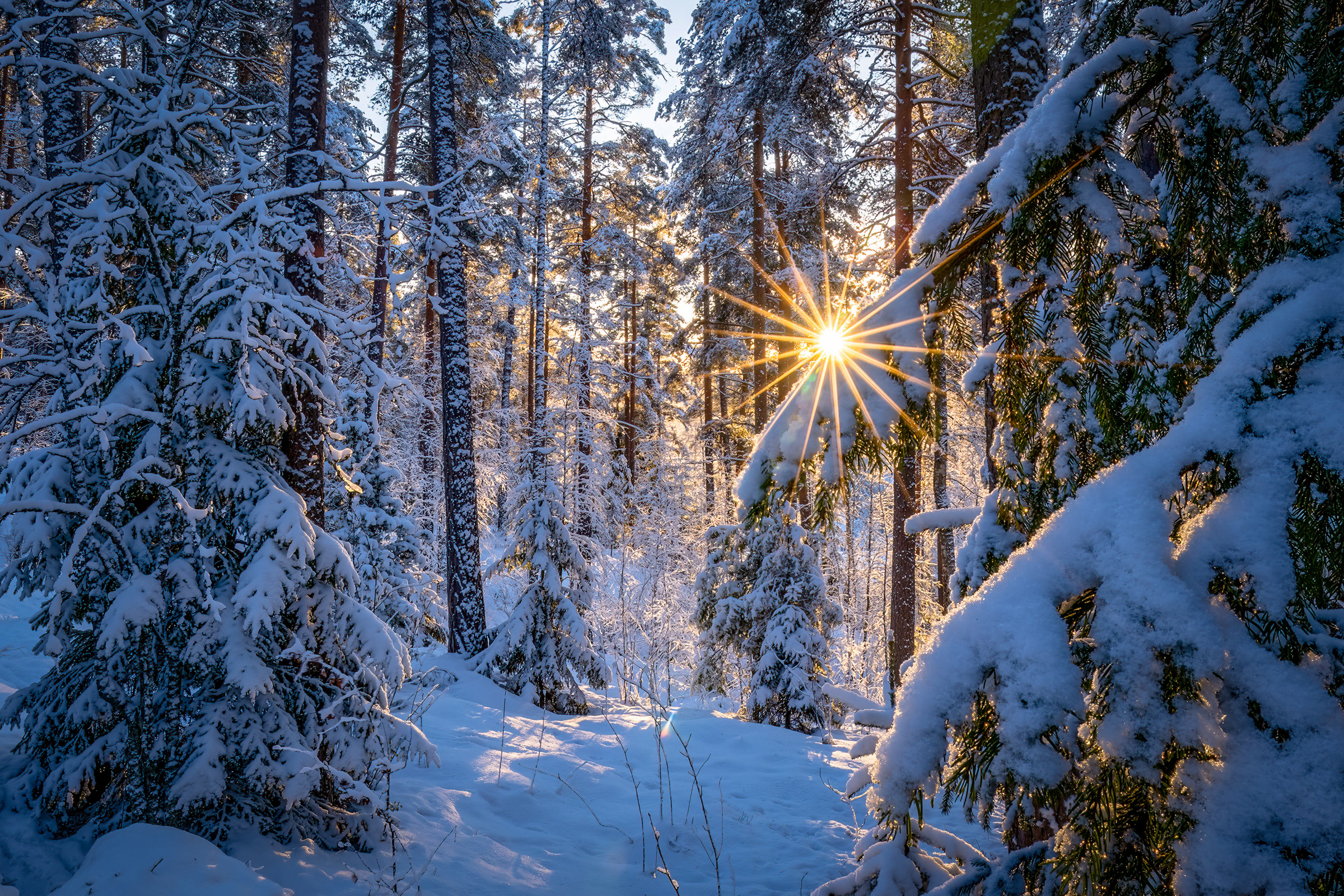 Salpausselkä
