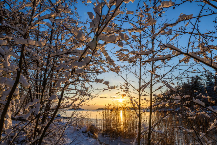 Skatanniemi